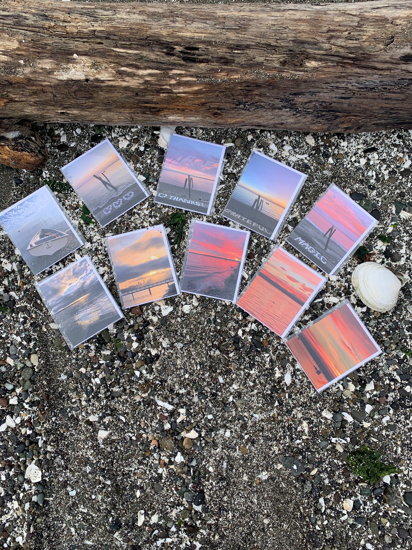 Sunrise + Shell Greeting Card - 10 Pack