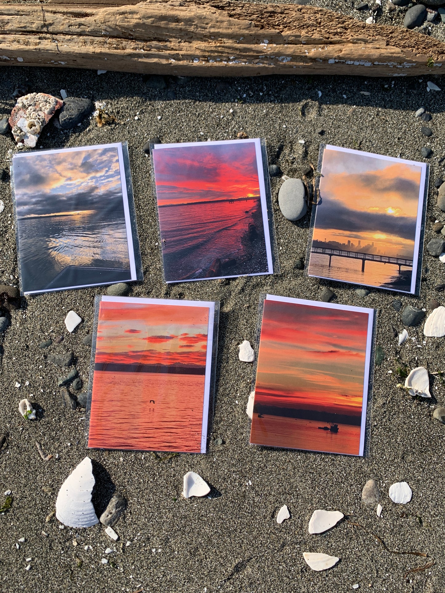 Sunrise Greeting Card 5-Pack