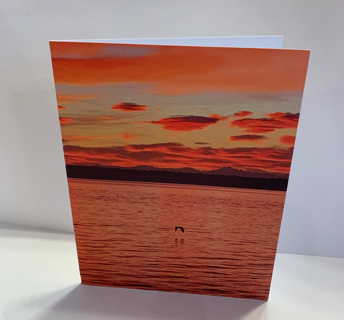 Sunrise + Shell Greeting Card - 10 Pack