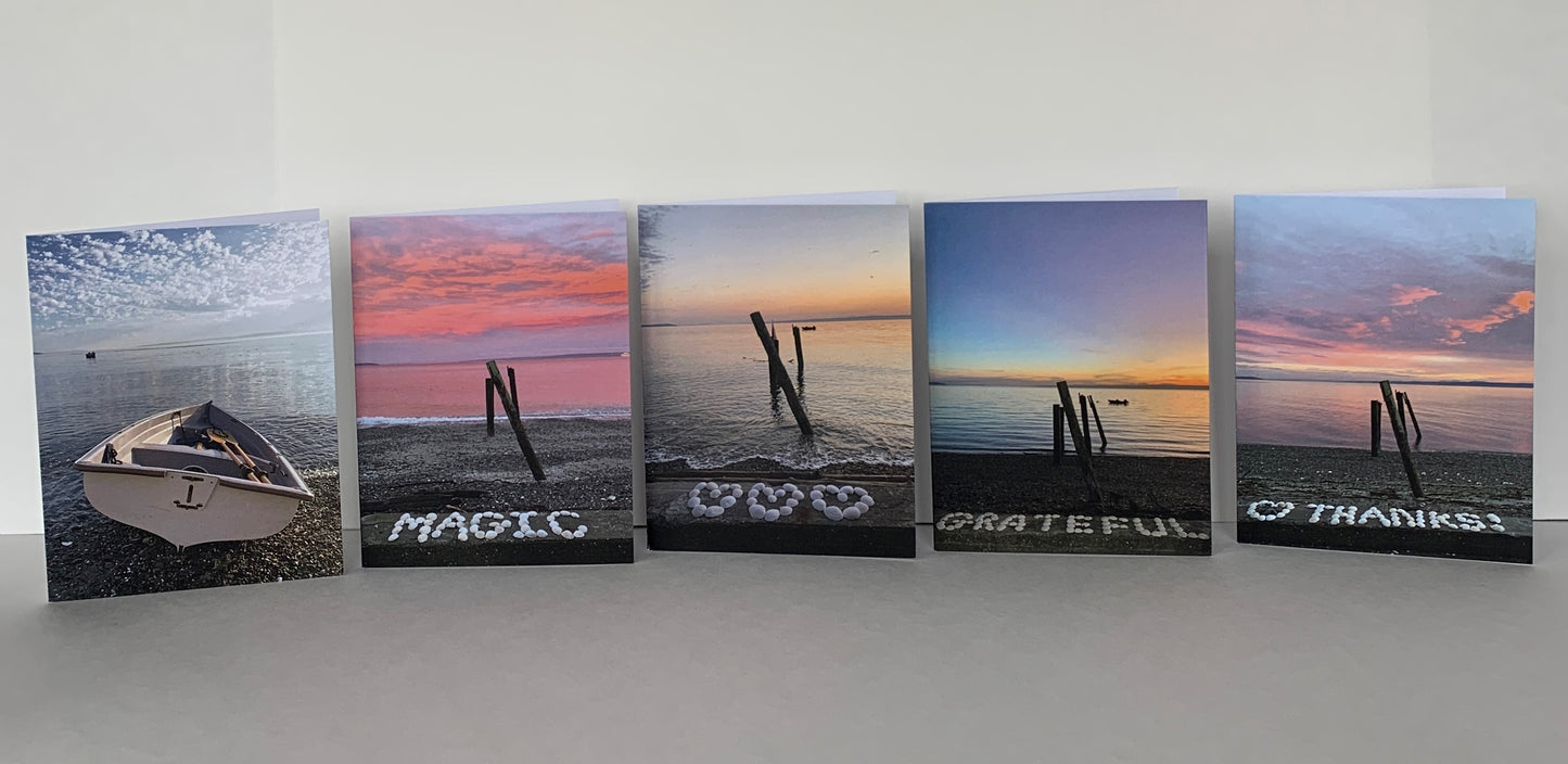 Shell Greeting Card 5-pack